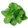 menta fembloc